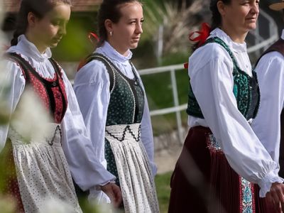 022-nepviseletnapja-20220424-nnfoto