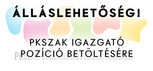 Állás - PKSZAK igazgató pozícióba