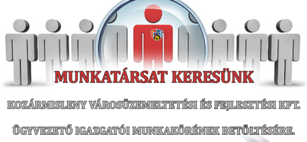 Álláspályázat - Ügyvezető igazgató