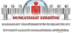 Álláspályázat - Ügyvezető igazgató
